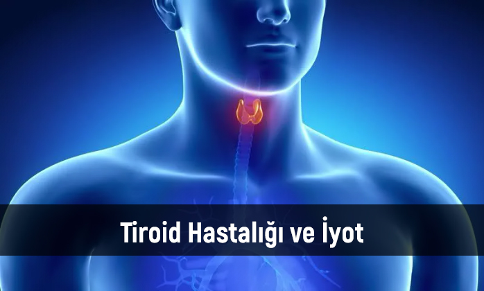 Tiroid Hastalığı ve İyot