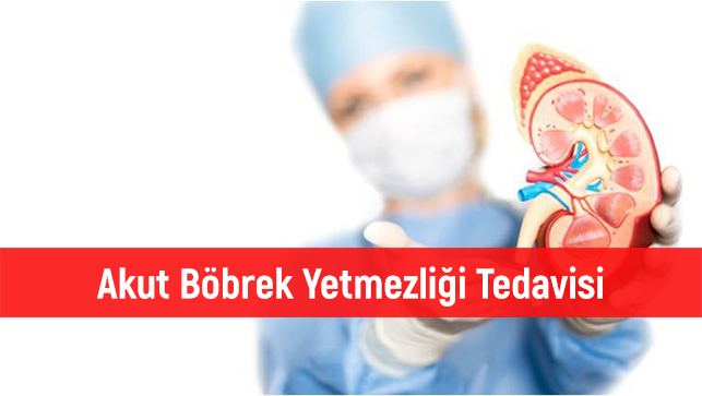 Akut Böbrek Yetmezliği Tedavisi