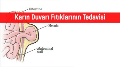  fotoğrafı